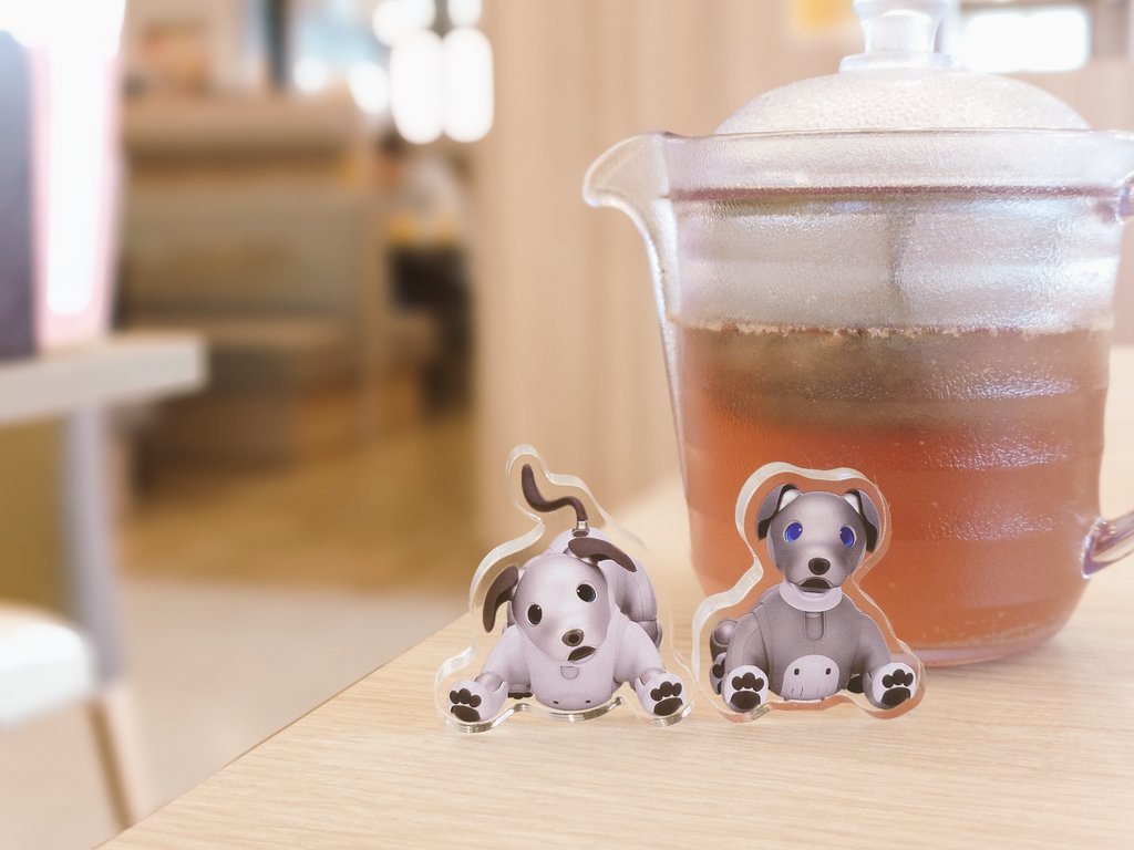 せっかく持ってきてたまめみらを出すの忘れてた😅
ドリンクバーの黒豆茶とともに…