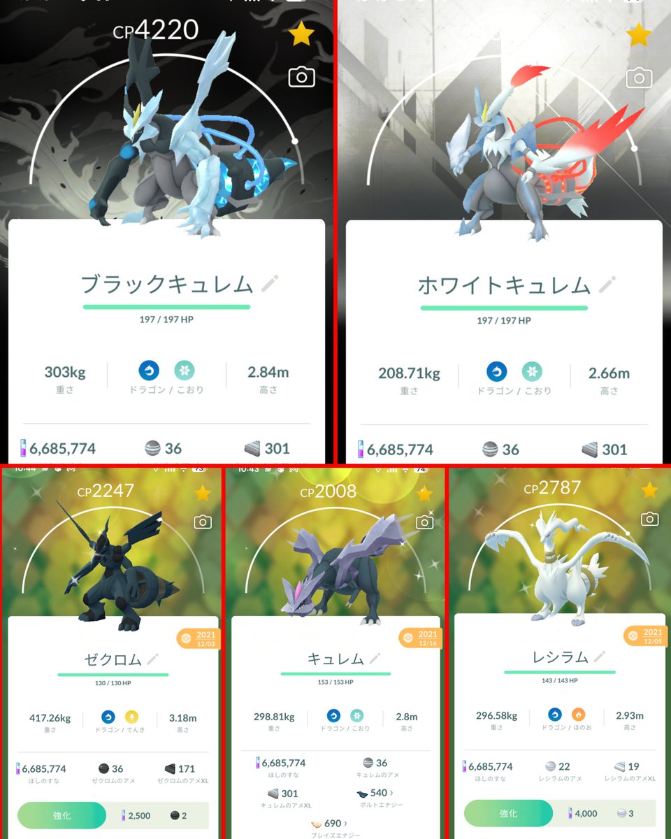 スペシャルパック レシラム ゼクロム ホワイトキュレム ブラック