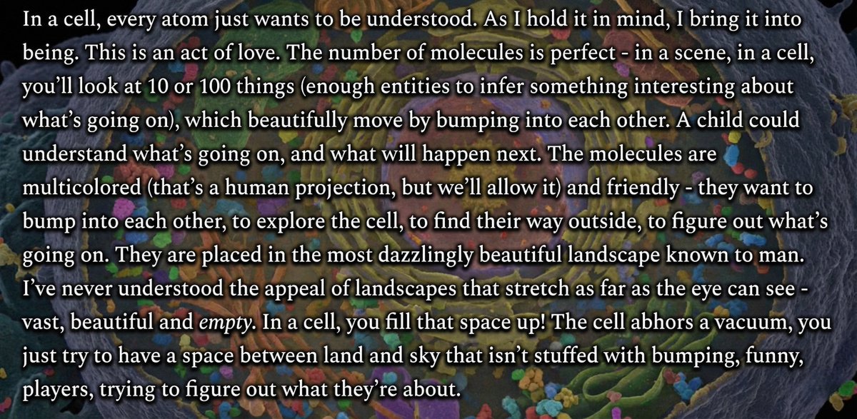 Laura 🌲 ⛰️ tweet media