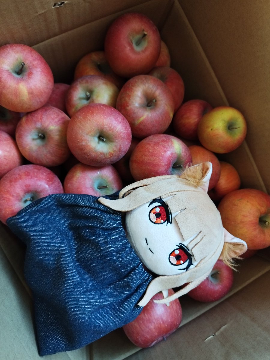 おはようございます。 晴れあがって綺麗な空です。そして寒い