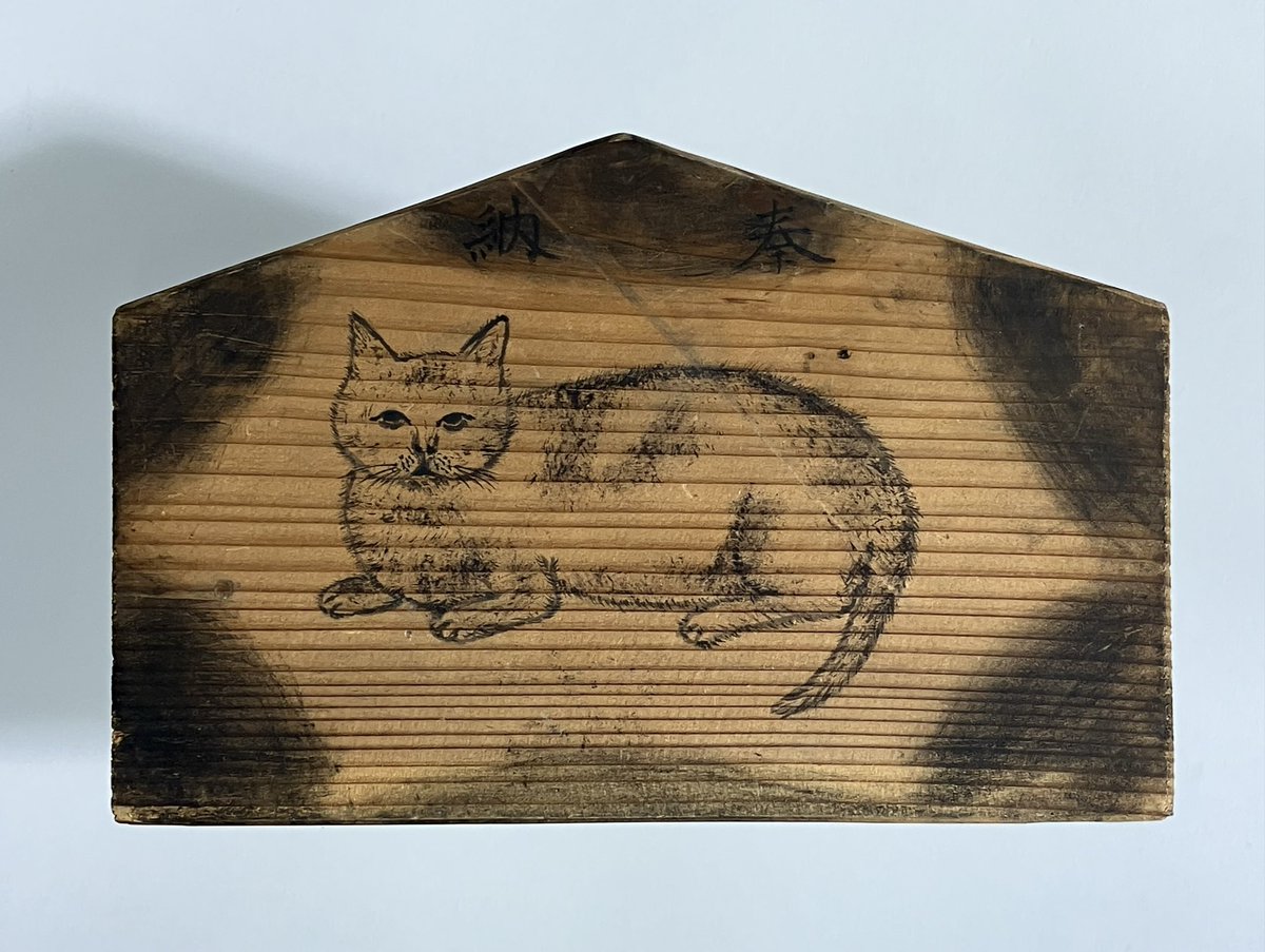 ねこ太朗 (@nekotaro1601) / Posts / X