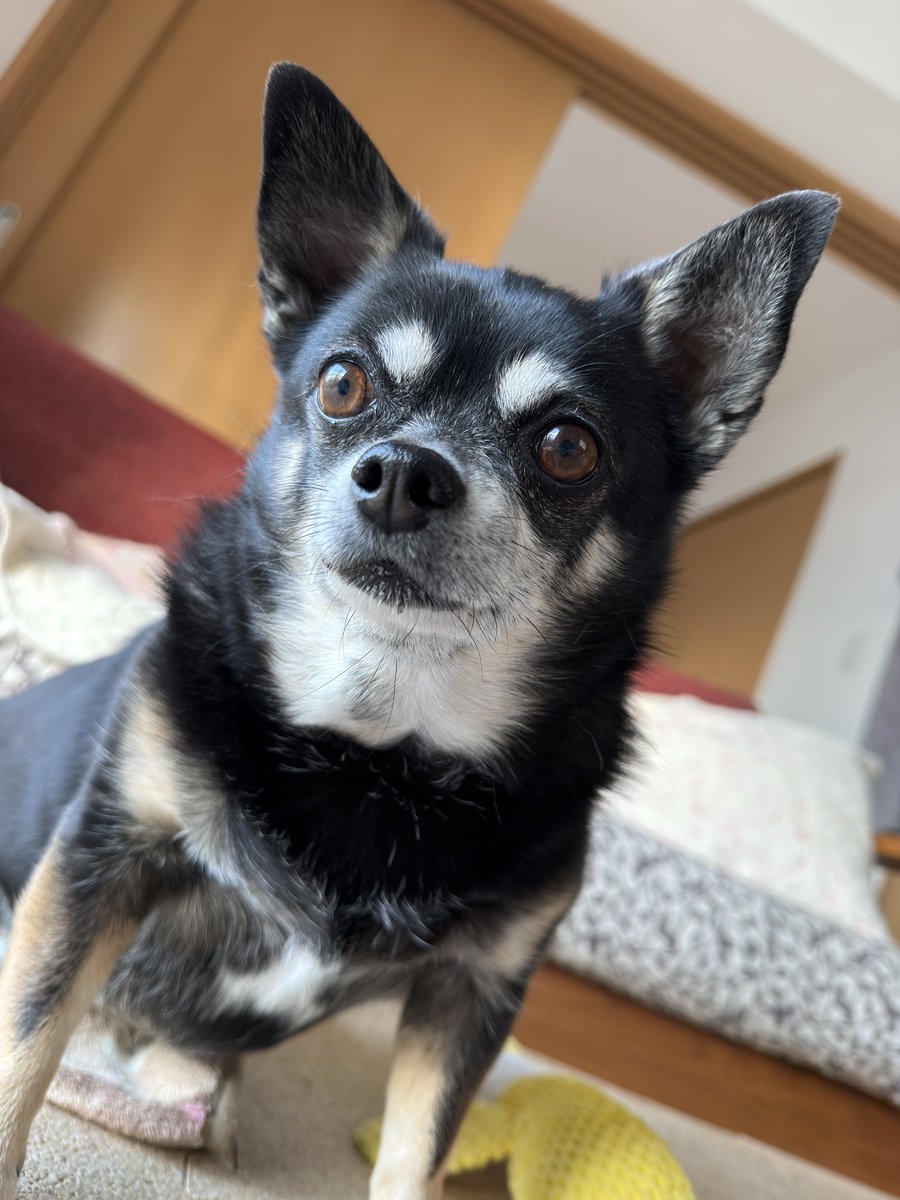 Xに登録した日を覚えていますか？ #MyXAnniversary 藤枝MYFCを応援し