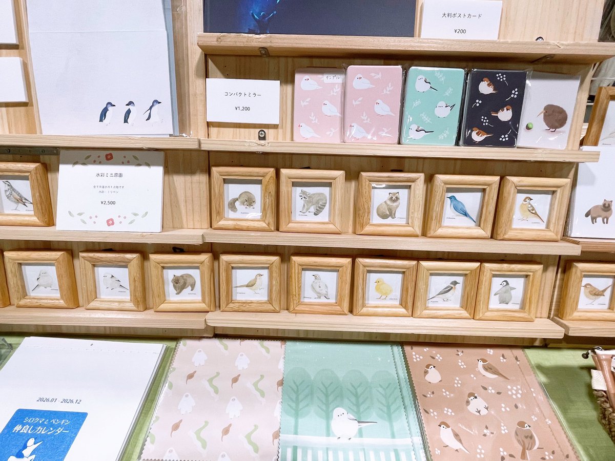 設営完了しました！
本日から2日間よろしくお願いします！
M-145-146【しばさな】にてお待ちしております✨