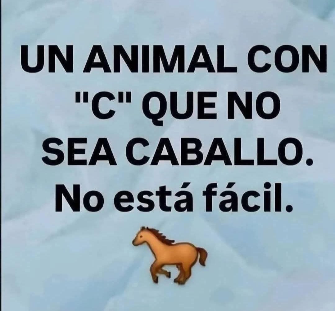 Suricato 💎 tweet media