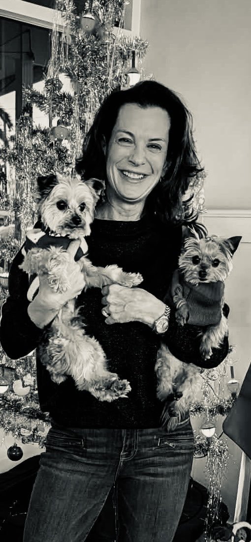 CHLipscombe's tweet image. It’s the most wonderful time of the year when you have your own elves 
#verobeach #MerryChristmas2025 #floridayorkierescue