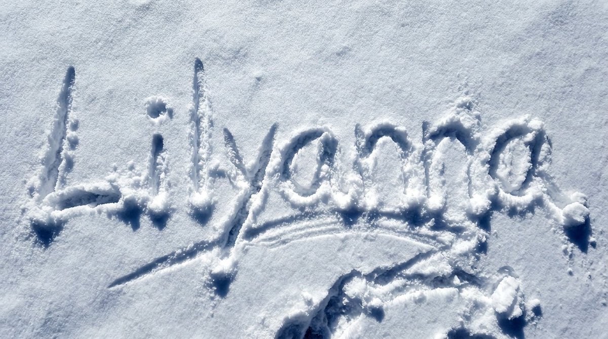 Lilyanna 比特里里 - AI 探索版 🔮🧑‍💻 tweet media