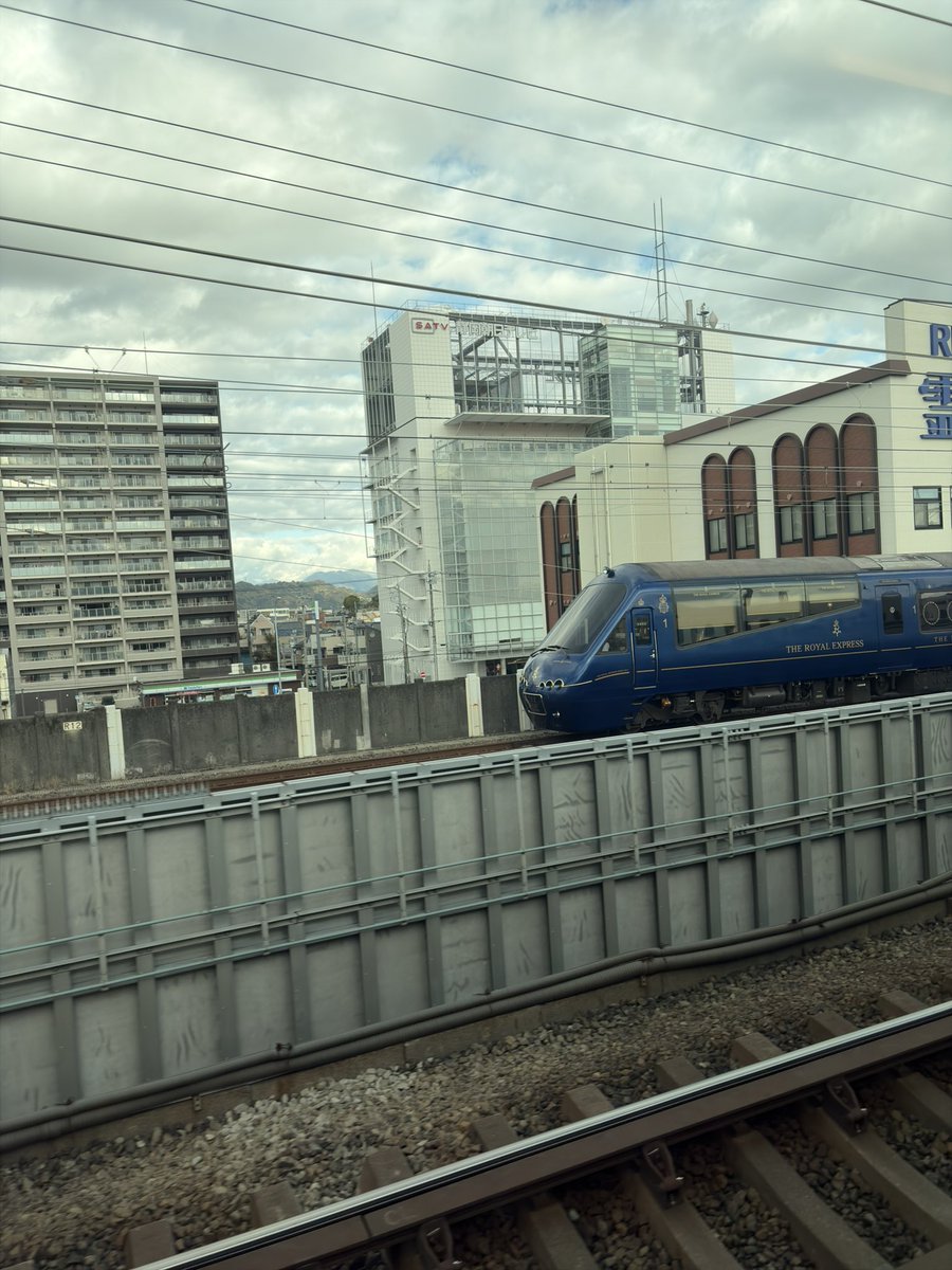 さっきたまたま見た