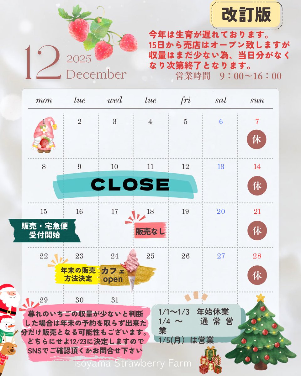 改訂版】 ＊12/18(木)はいちごの収穫は🈚️ ＊12/15〜20は収量が少ない