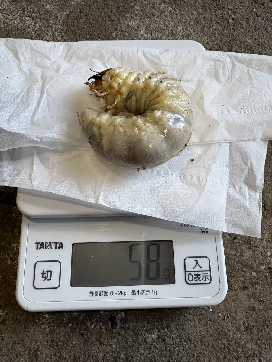 イチロー 16 (@tetu4411) / Posts / X