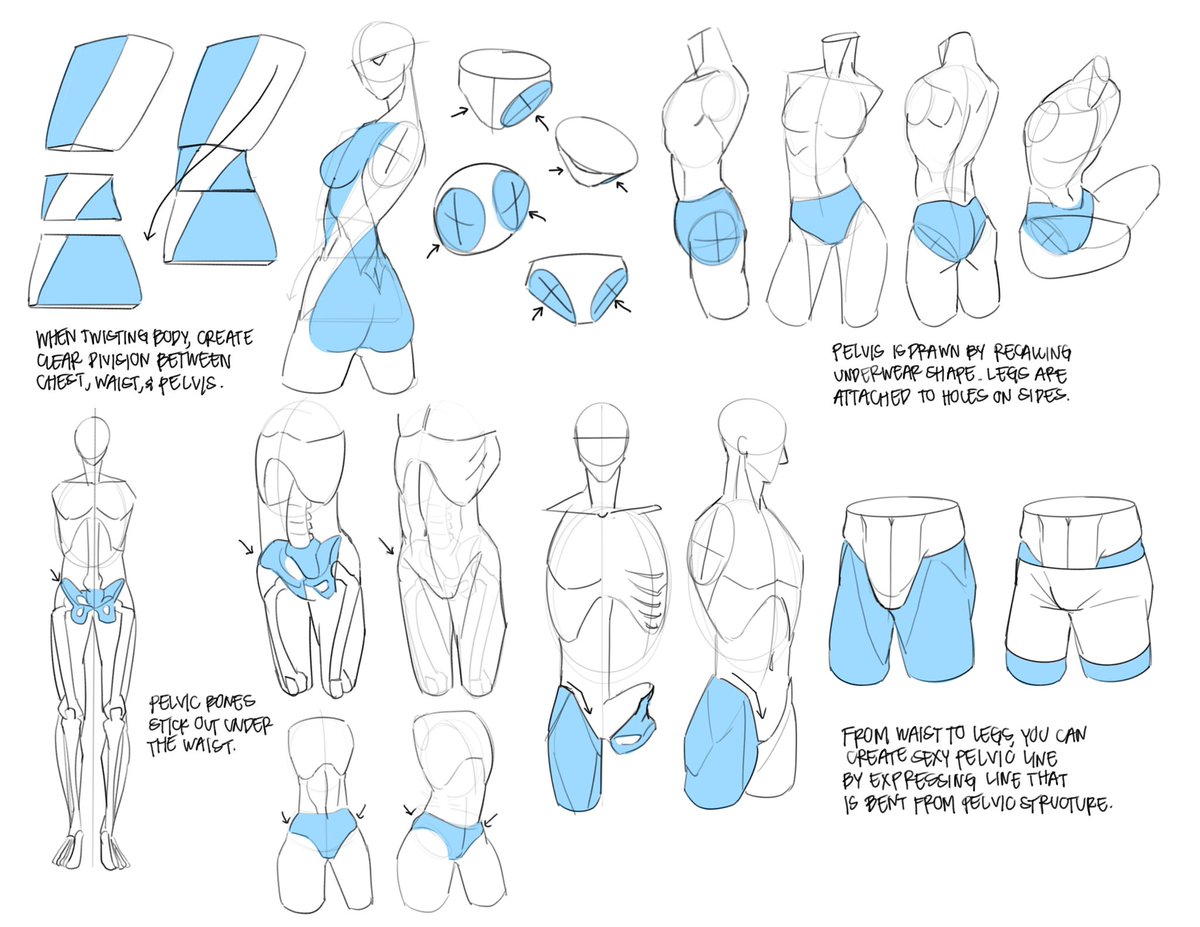 JELLYCAKESpng's tweet image. studies! 🍎
