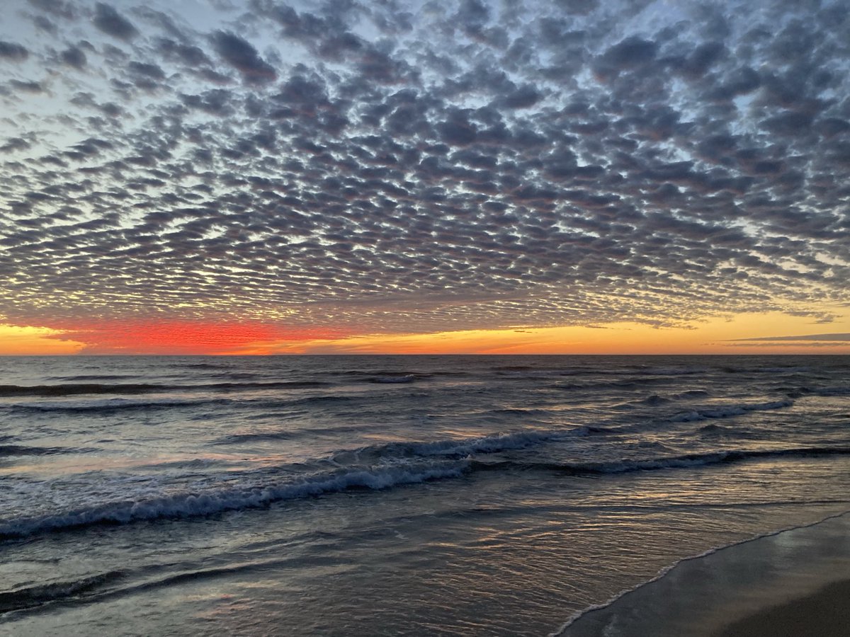 Faro_Mazatlan's tweet photo. Atardecer de diciembre 2025, las nubes altocúmulos con múltiples nubecillas pequeñas y separadas formando un patrón repetitivo. Con el atardecer resalta los tonos rojos y naranjas. https://t.co/22pRpvQ9BL