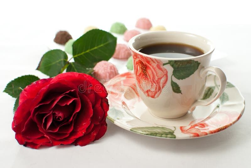 Good Morning divine enchantress, majesty <a href="/SpoiltprincessG/">SpoiltprincessG</a> 👑 👸 ♥️

I wanted to say I love, worship and obey You forever and throughout eternity, there is no one else in the world I would rather serve, obey &amp; belong too. You own my heart, body and soul.