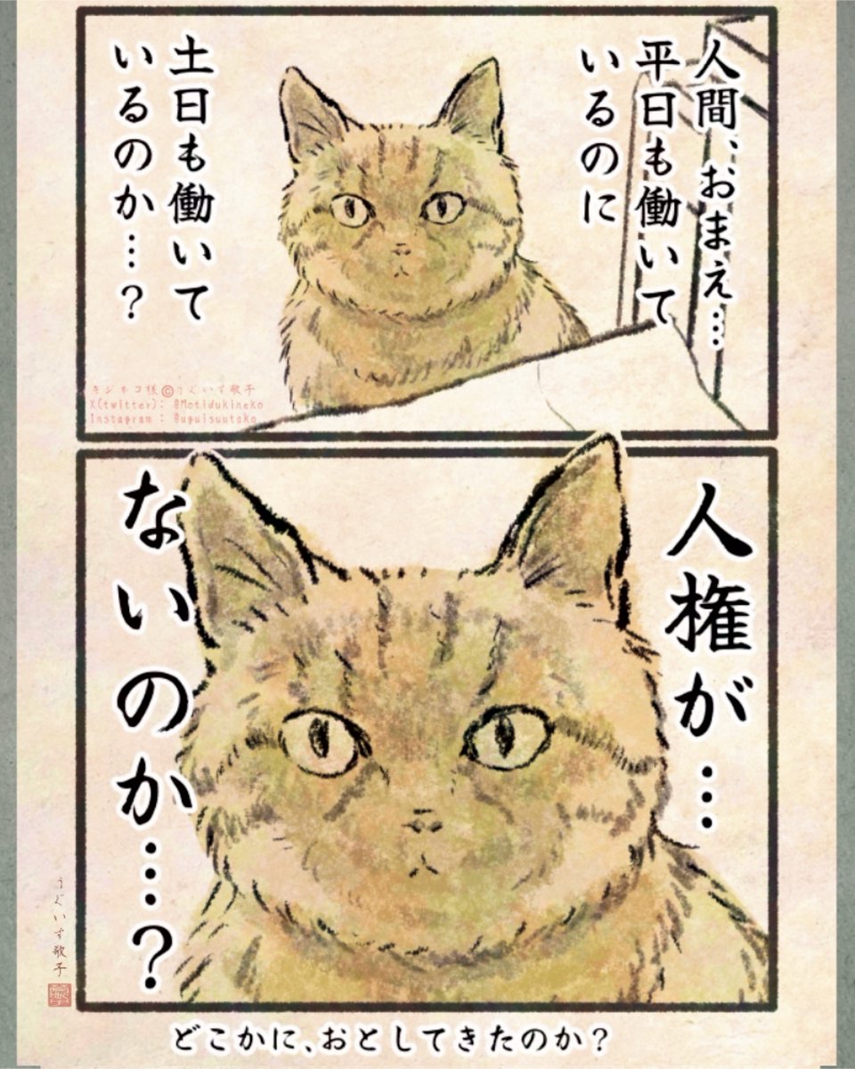 キジネコ様 (@Motidukineko) / Posts / X