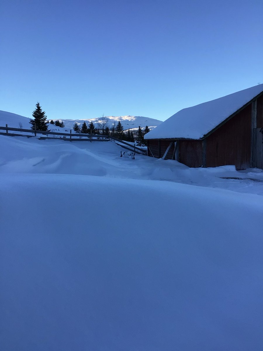 Diana🍁 🇳🇴 tweet media