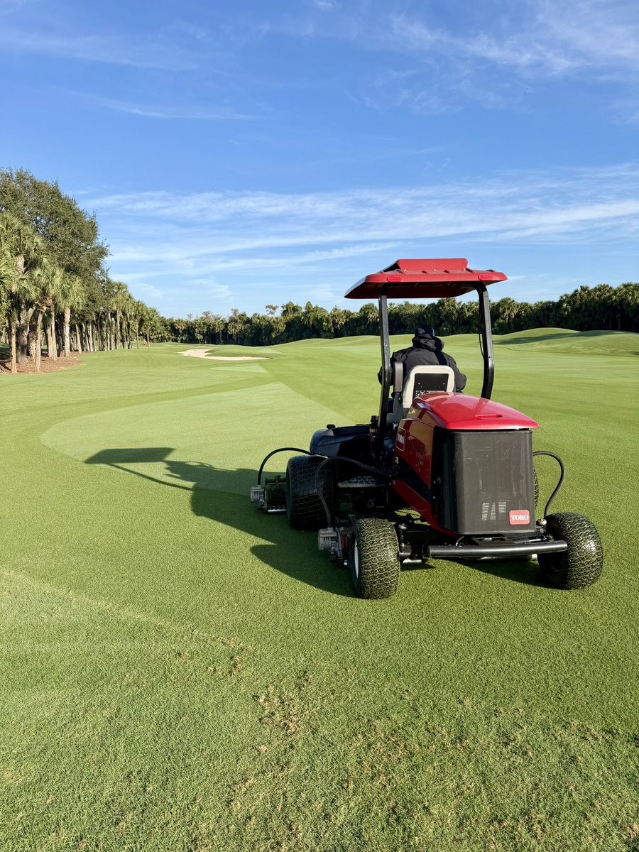 Closing in on the shortest day of the year, and the <a href="/UGATifton/">UGA Tifton</a> #TifTuf <a href="/TifTufTurfgrass/">TifTuf Turfgrass - Official Account</a> #bermudagrass at #OldeFloridaGolfClub is looking fantastic Hole 12
<a href="/ToroGolf/">Toro Golf</a> @gcsaa <a href="/FGCSA/">Florida GCSA</a> #golfcoursesuperintendent #thisismyoffice #ReesJonesDesign