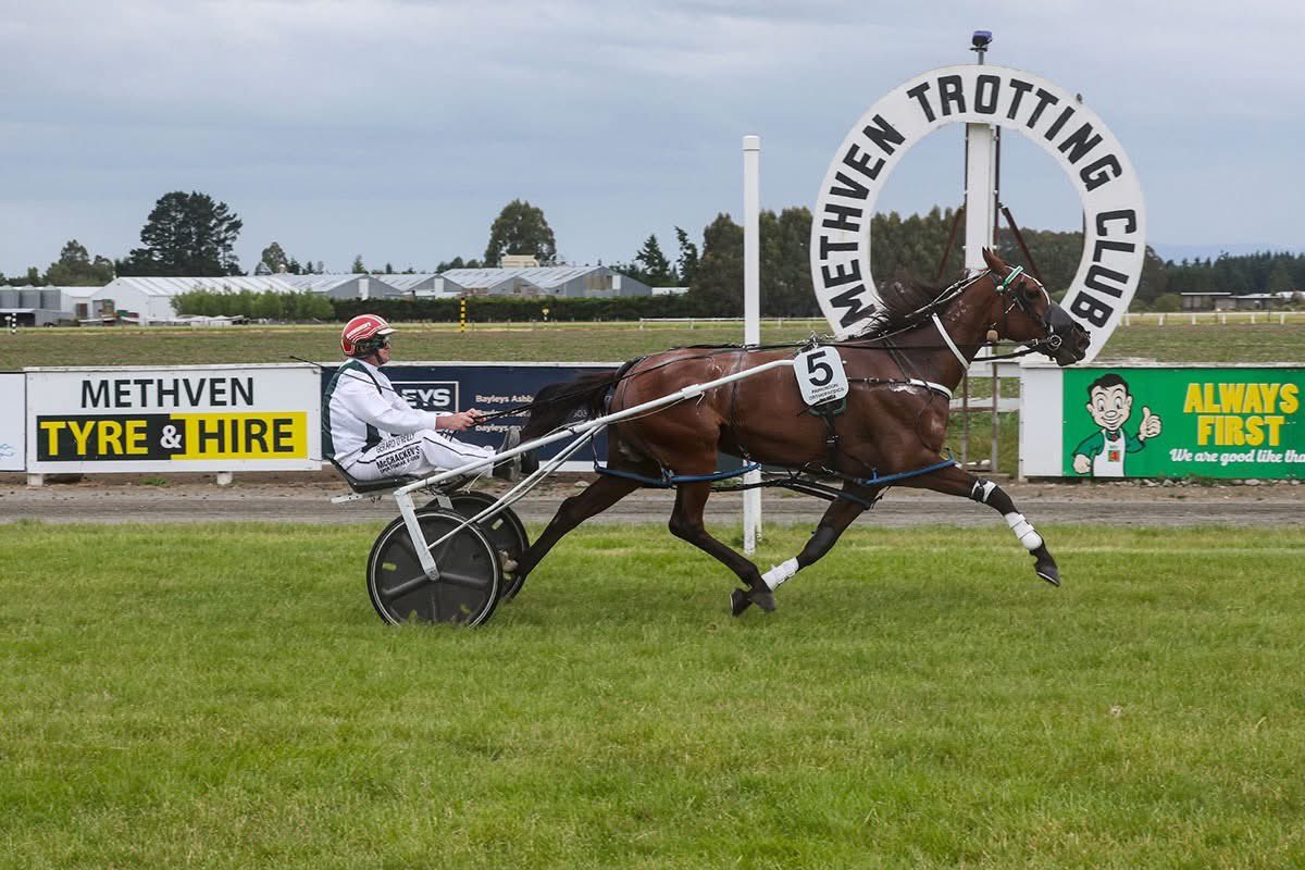 Andrew Fitzgerald tweet media