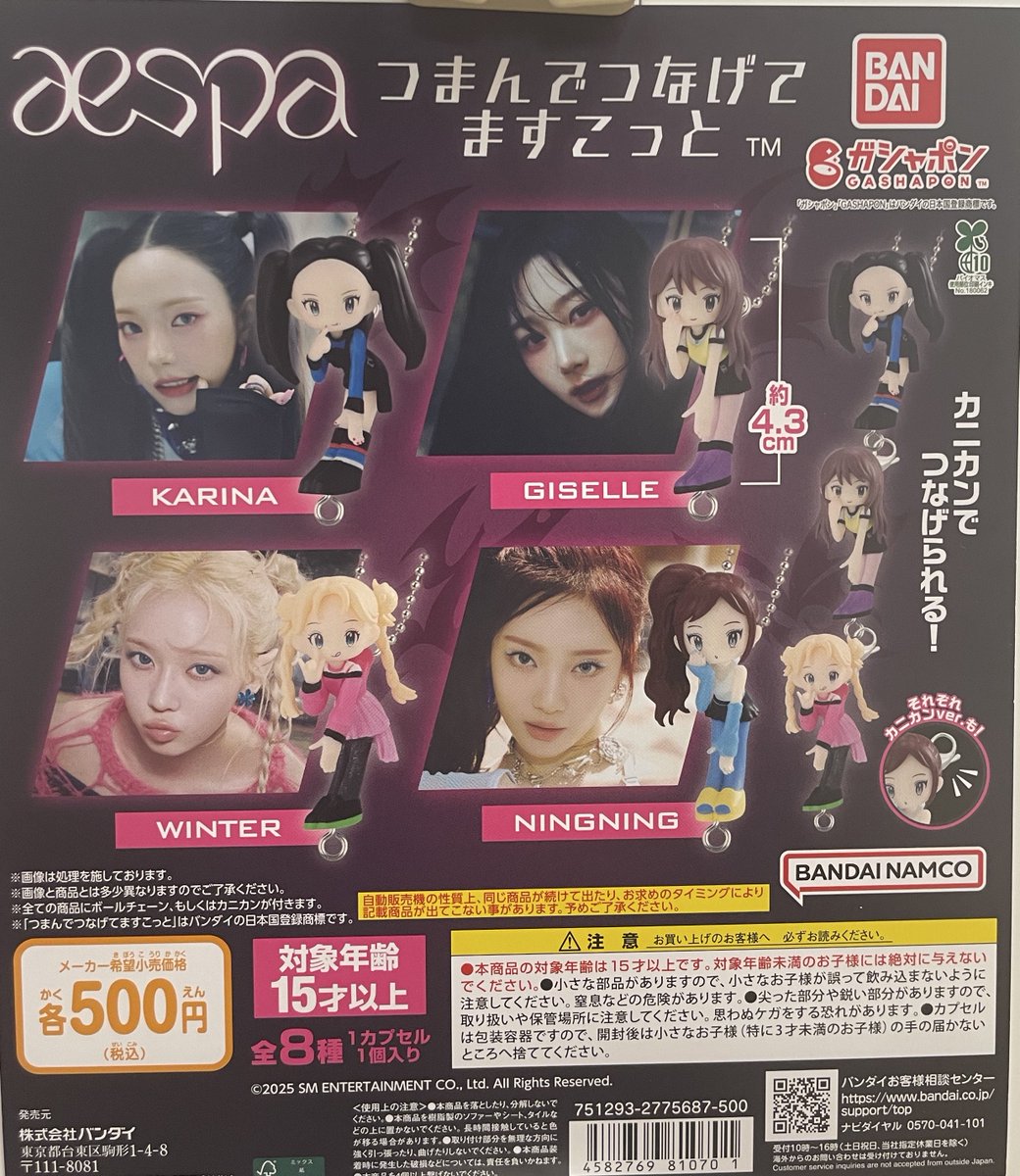 ディズニーキャラクター めじるしアクセサリー Winter ・にゃんこ大