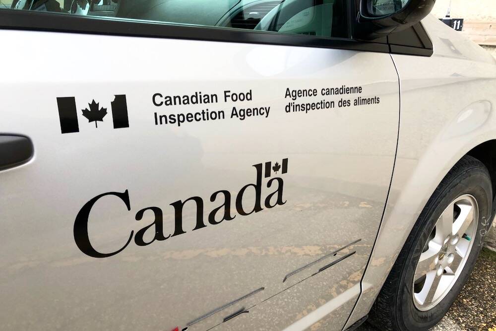 CFIA adds controls for imports of Spanish feed ingredients after African swine fever outbreak. vist.ly/4ick4