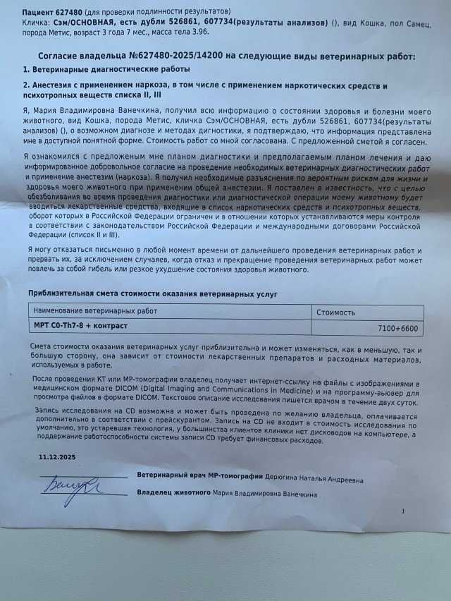 А я напоминаю, что сбор продолжается 

+79816813583 Сбербанк, Ванечкина Мария В.

Сэм прошёл первый курс химиотерапии, сейчас начался второй курс. Нужно сделать МРТ, так как у врачей мнения расходятся - невролог не видит хорошей динамики, онколог видит

Чеки за МРТ ⬇️