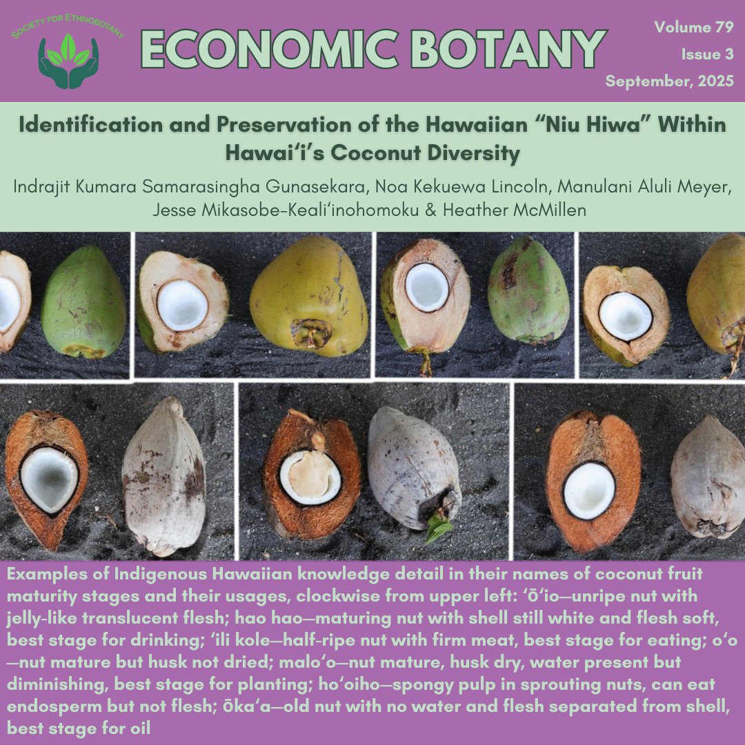 Society for Ethnobotany tweet media