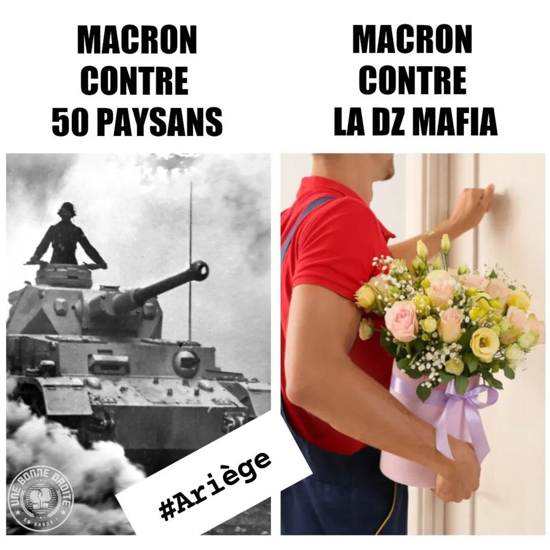 Edith-Lieselotte Gallois (@galloisedith) on Twitter photo 