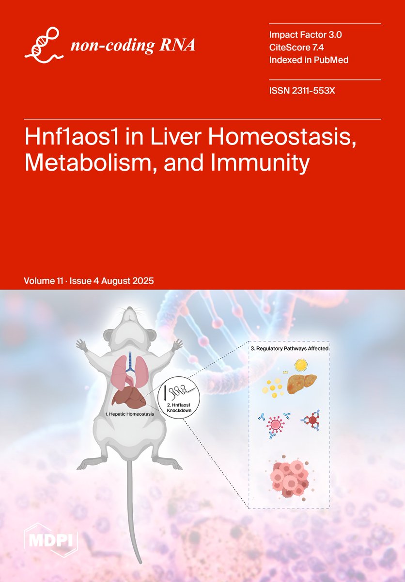 beshoyarmanios's tweet image. 1/6 Our latest study on the lncRNA Hnf1aos1 just earned the cover of Non-Coding RNA (August 2025).
Full text (open access): pmc.ncbi.nlm.nih.gov/articles/PMC12…
#LiverResearch #lncRNA