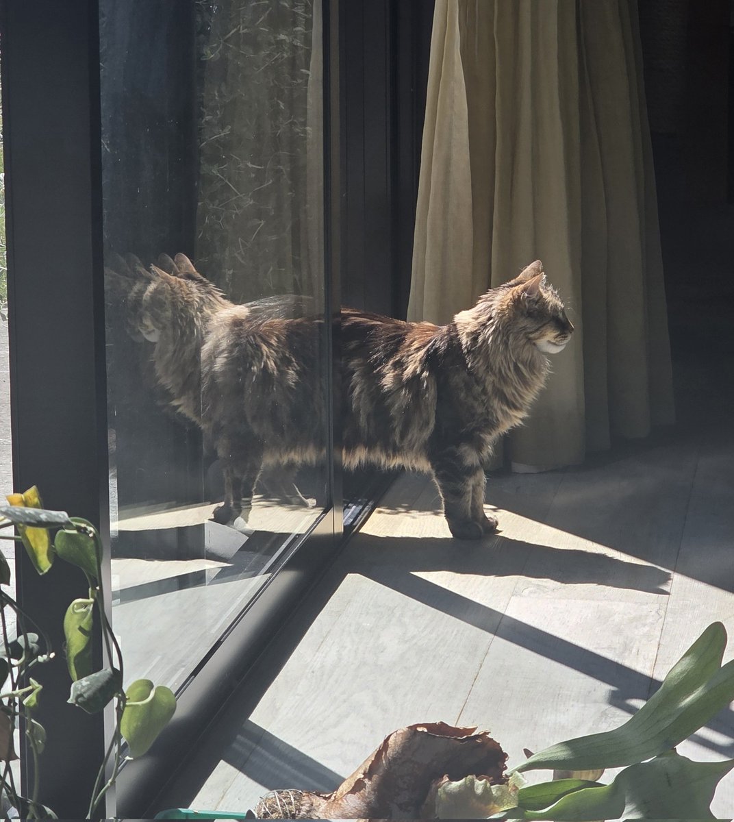 LiddlesTV's tweet image. What multiverse is she loading in from