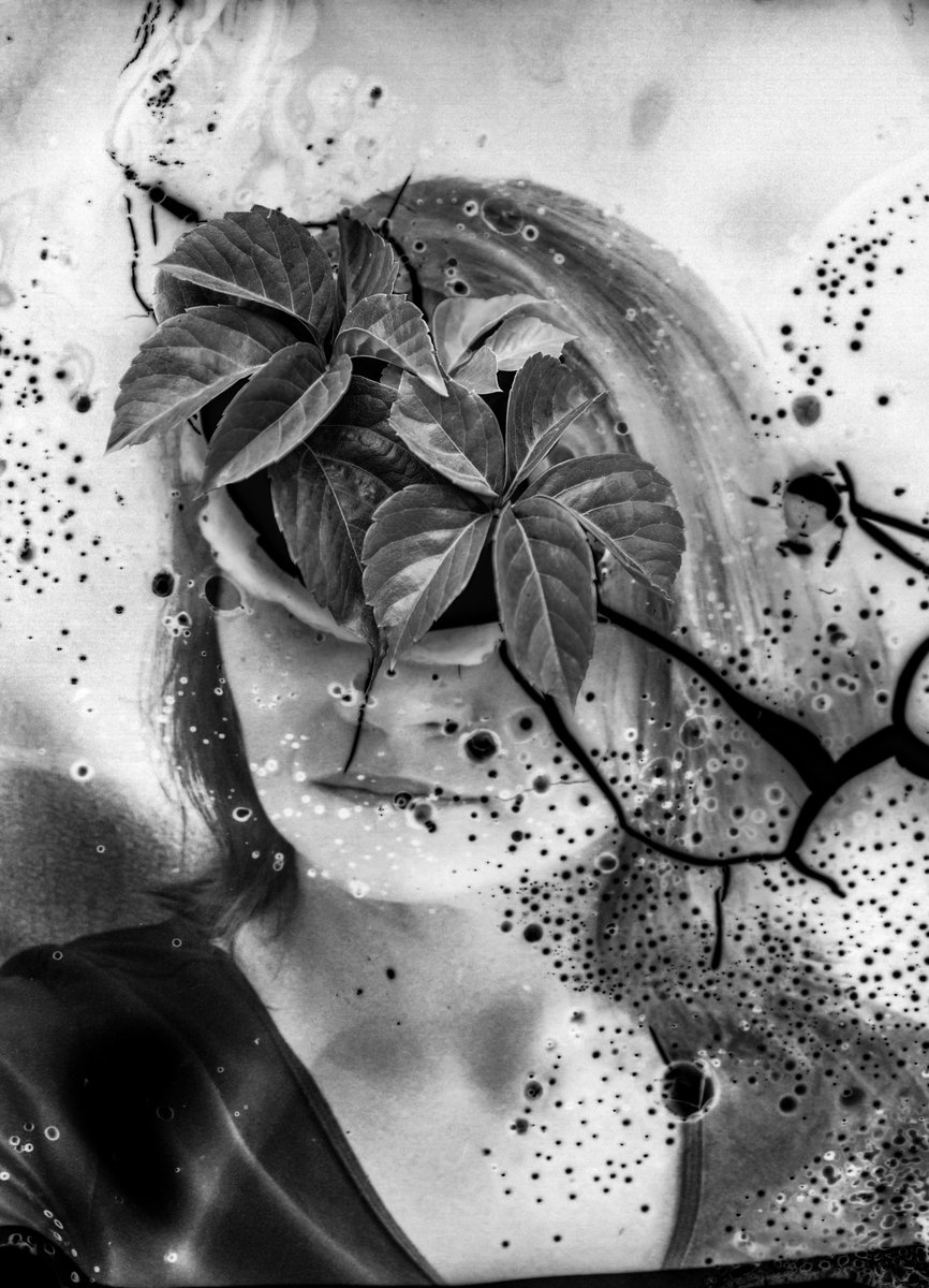 AyazYildiz_'s tweet photo. @elyxart @beinwomen Hello dear @elyxart!🖤
"Inner Garden"
https://t.co/ddhX4KcNfO
Created by physical intervention on 35mm film.
@CorinaObertas, @Sandytoes2211
#BIW #BeInWomen https://t.co/UIF4ljKwnR