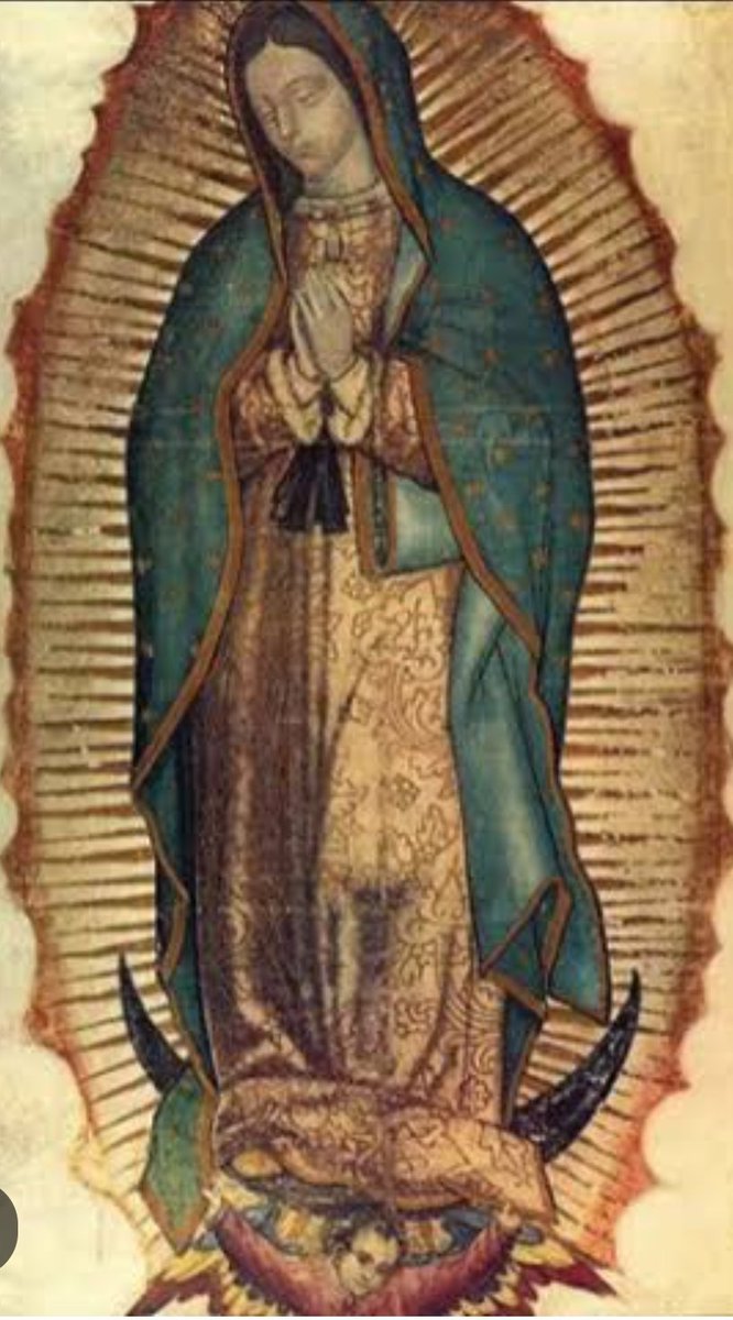 En el día de la Patrona de América, UP pide su interseccion ante el Altísimo por la salud y la libertad de todos los presos políticos, civiles y militares, sin excepción.
No más muertos en las mazmorras de tortura. Venezuela toda exige la libertad de sus hijos en esta navidad