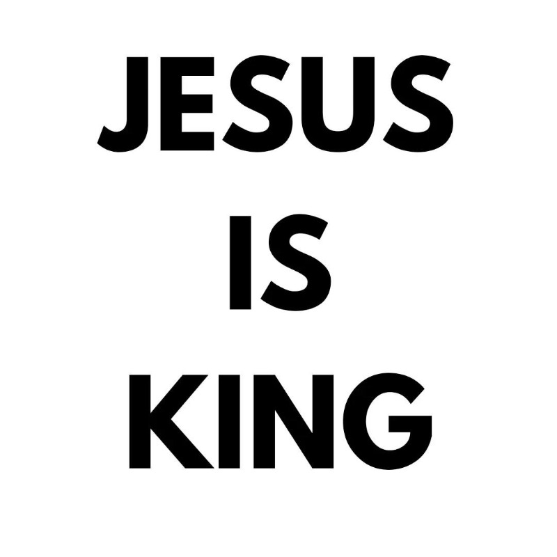 🤎 Avianna Lemonier 🌙🤎 tweet media