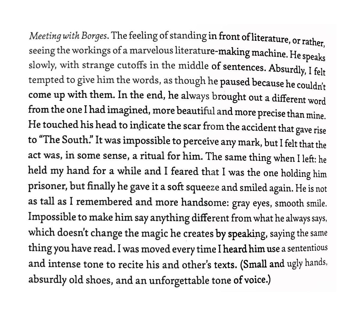 "...more beautiful and more precise..." (Ricardo Piglia on meeting with Borges)
