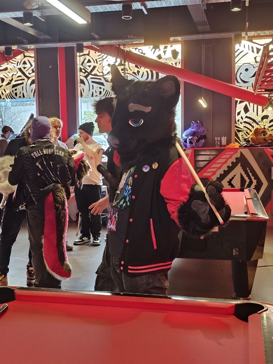 Panthera Panther tweet media