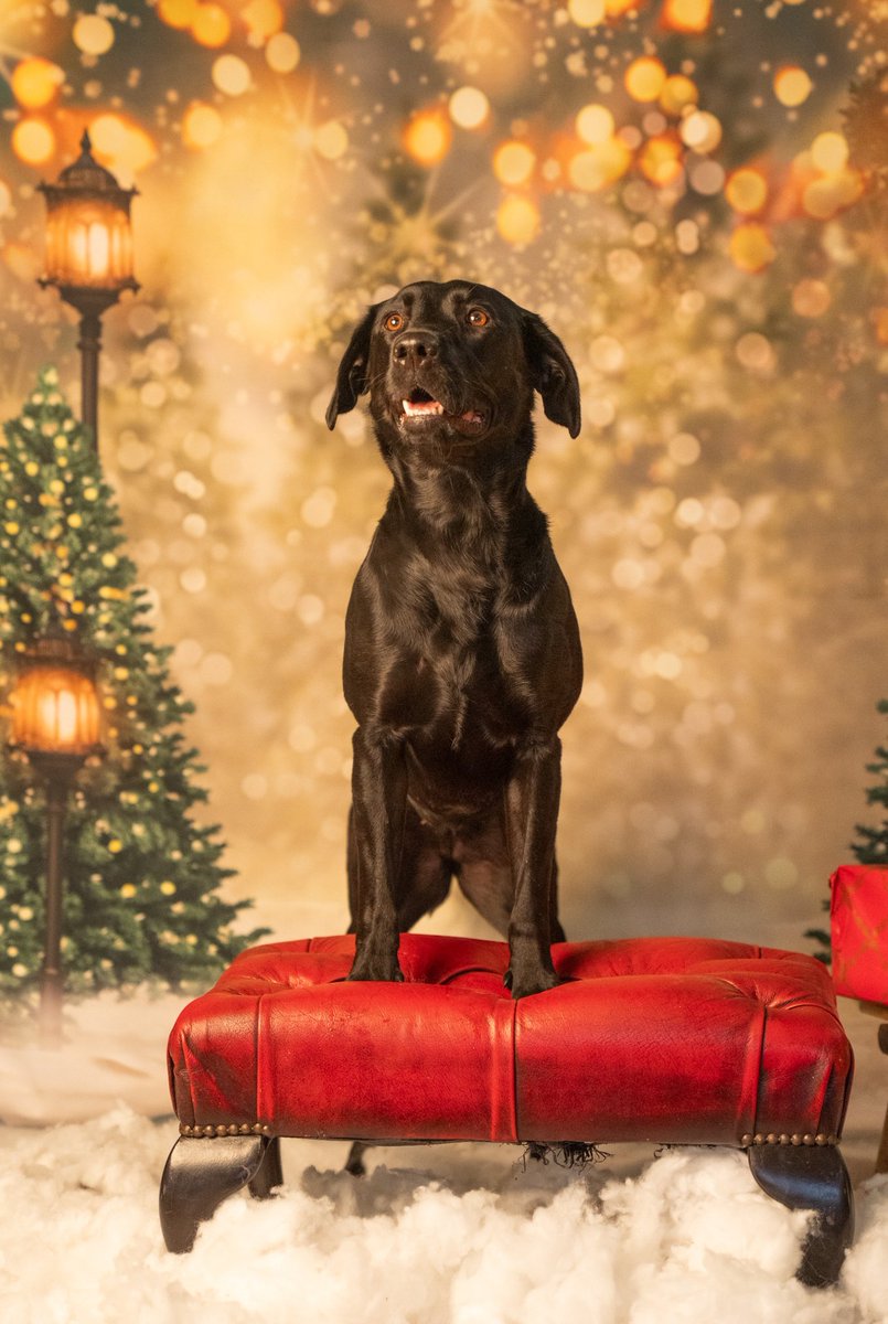 Amy W Schwartz tweet media