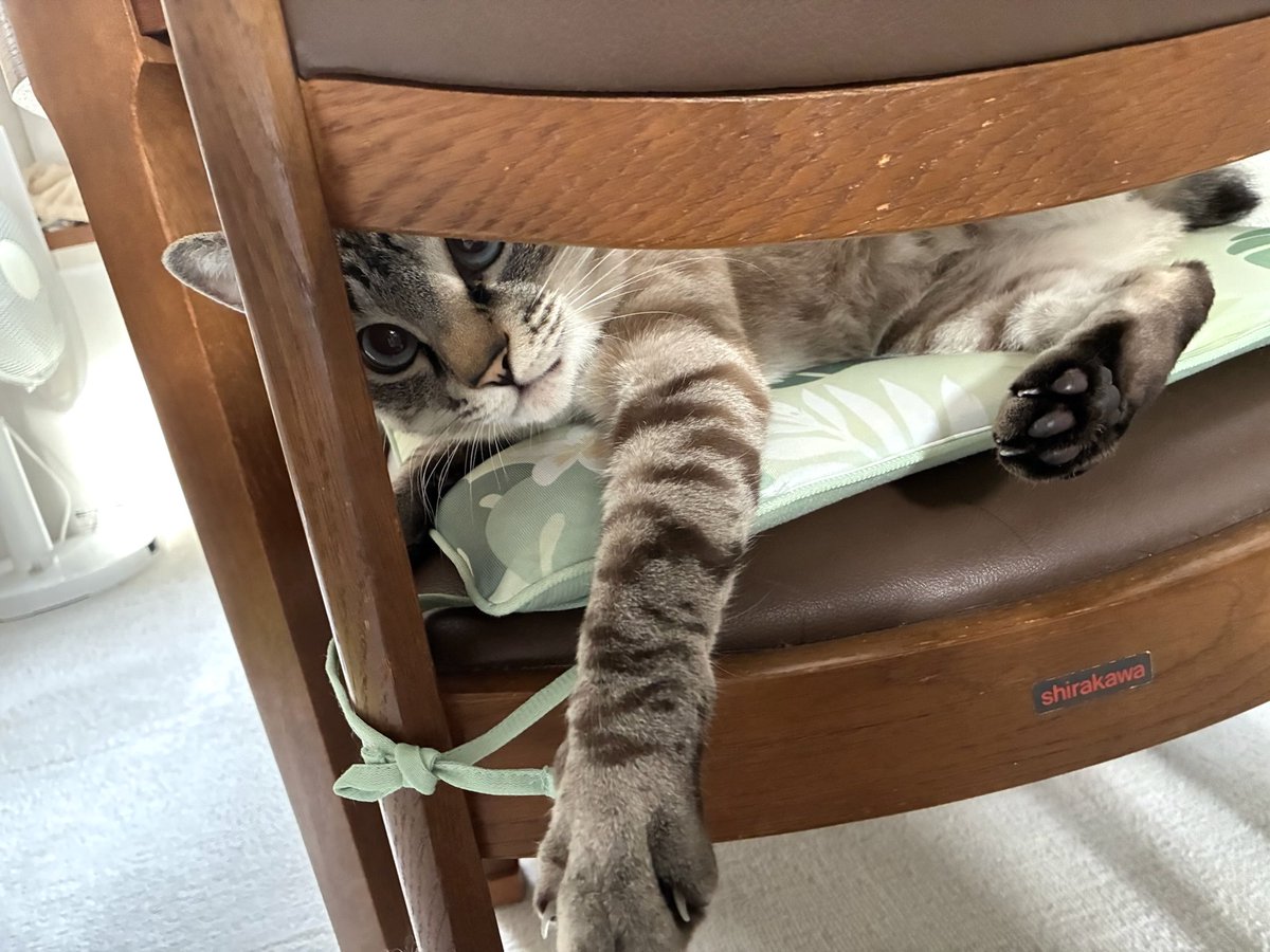 そら🐾 (@_sora0613_) / Posts / X