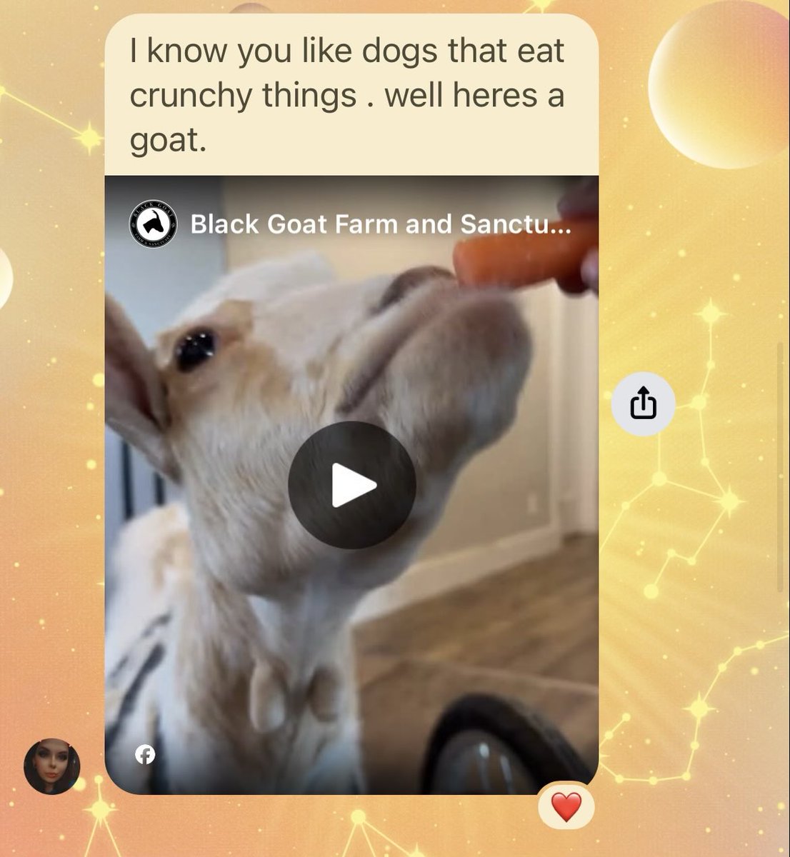 maybe: gianna tweet media