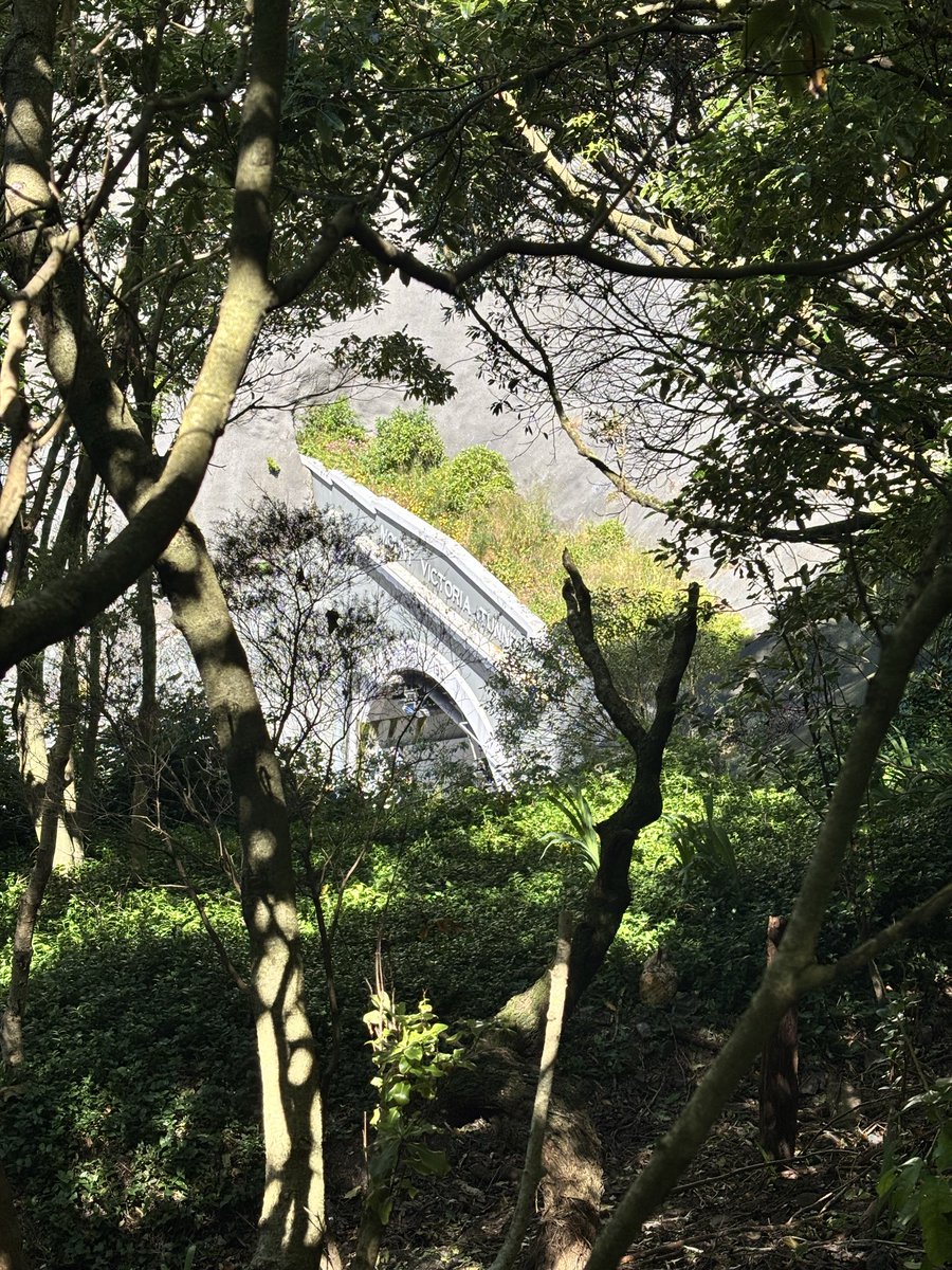 They want to put a second tunnel where I am currently standing