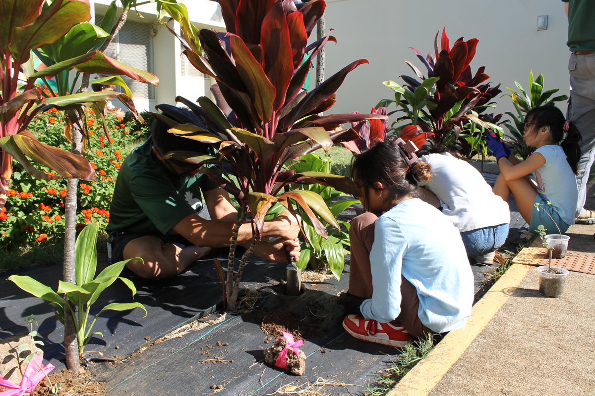 Hawai'i School for the Deaf and the Blind tweet media