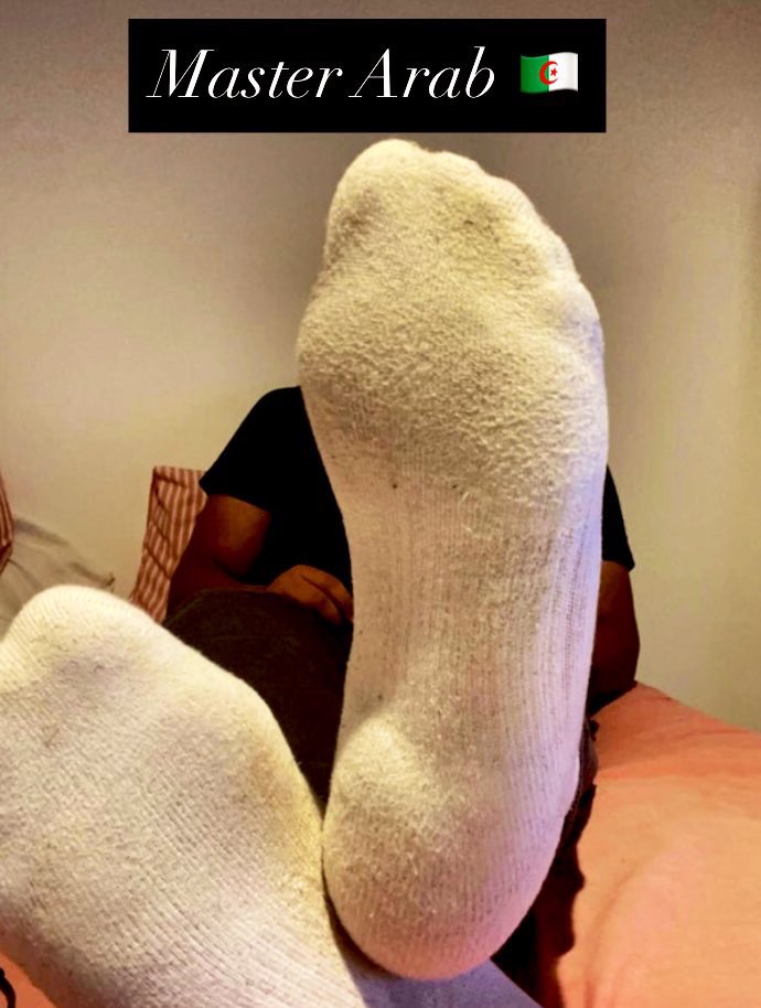 Master Arab 🇬🇧🇩🇿 tweet media