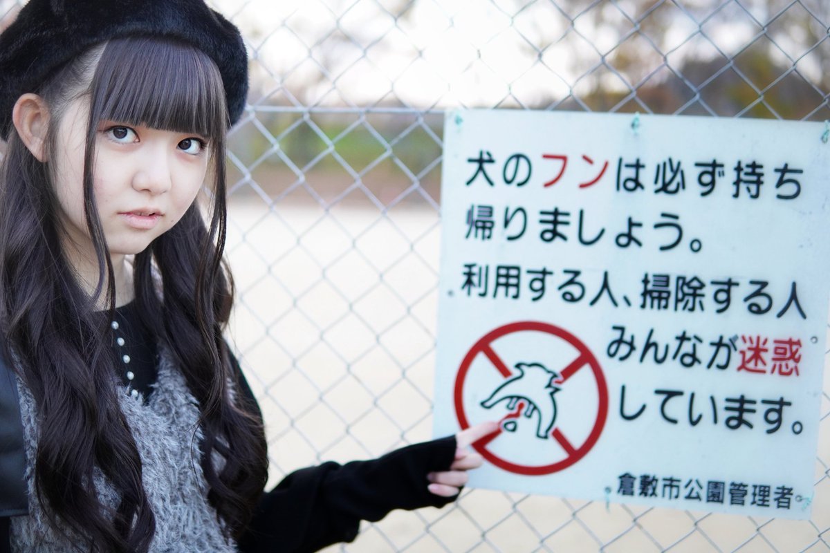 るあ 2002-2006) Ninja ZX-12R【ストリート用】フルカウルSTD【ルナソーレ