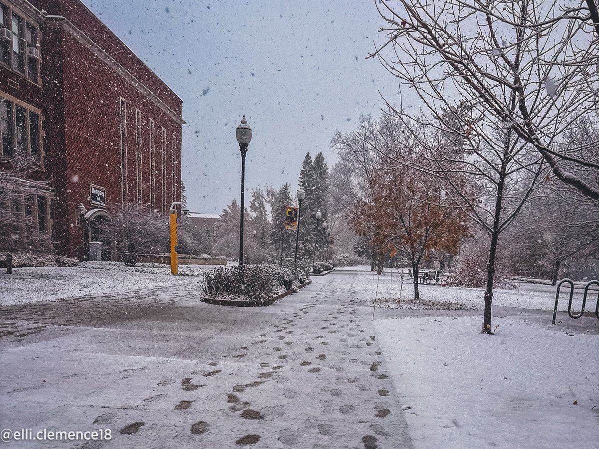 UWOFootball's tweet image. Winter dressed the campus up just in time for graduation. ❄️🎓 

#GoldStandard | #O2HVE6AS