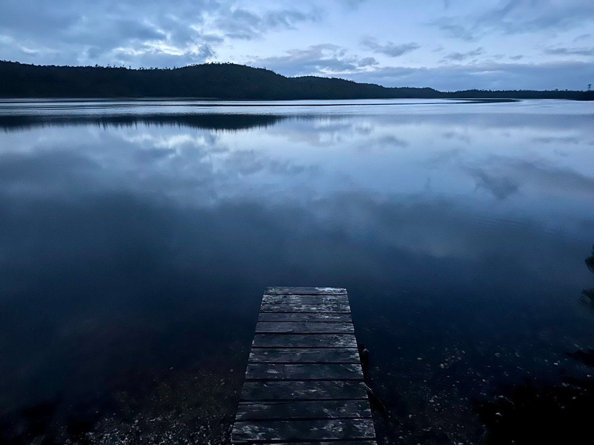 Cristobal Pinera tweet media