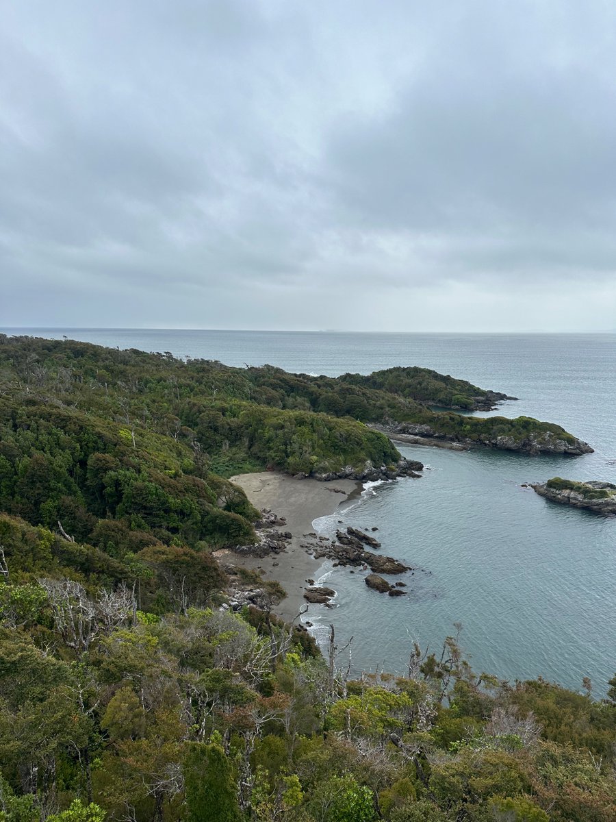 Cristobal Pinera tweet media