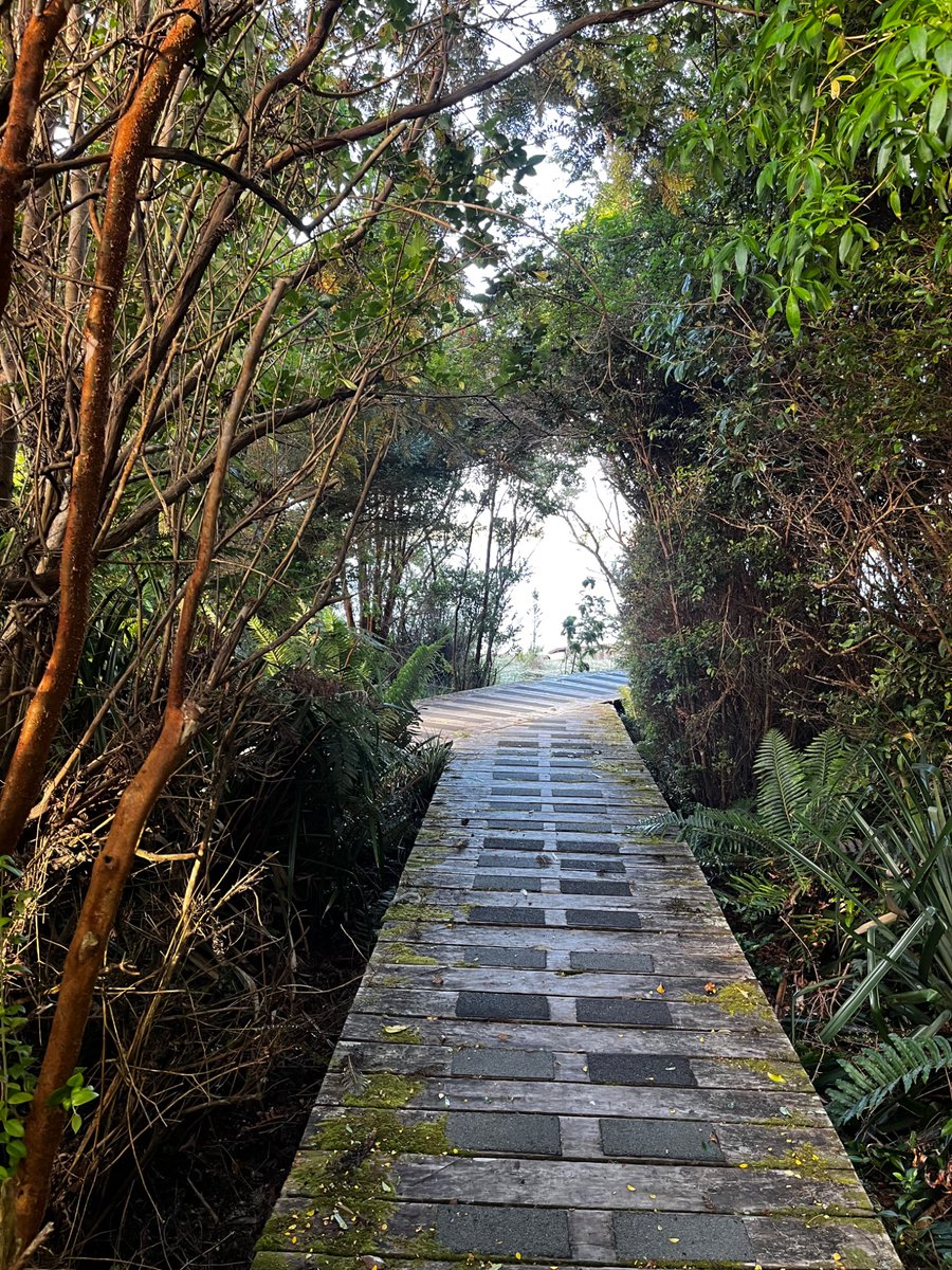 Cristobal Pinera tweet media