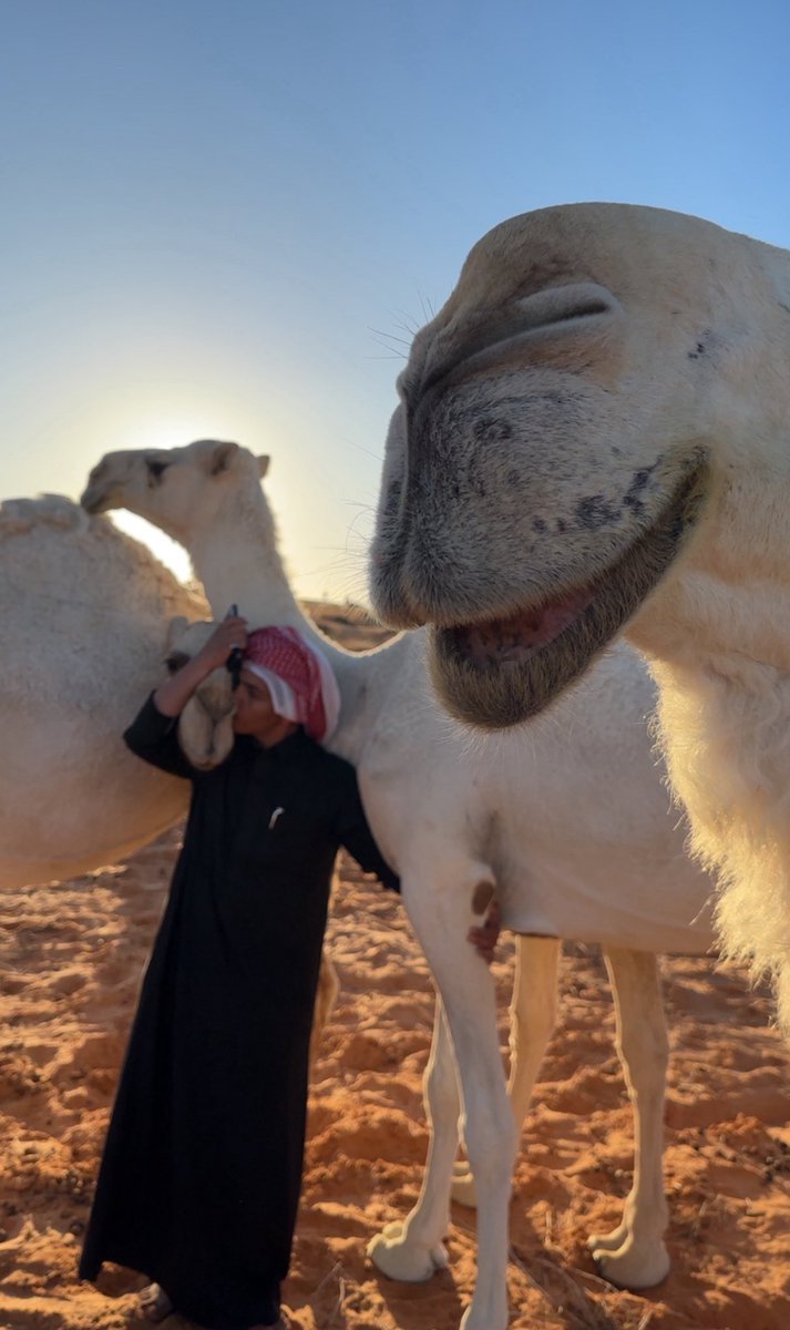 q6tua's tweet photo. خاطري عمْس واتعبني مصايد شفوفه
لو تسلّيت عن ما فات ماهو بسالي

أتحسّف على وجهٍ عليه الحسوفه
والحسوفه ماهي بمرجّعه ما غدا لي

مدّ لي لذّة الدنيا براحة كفوفه
وراح منّي وهو غالي، ولا زال غالي https://t.co/Umsambdlmc