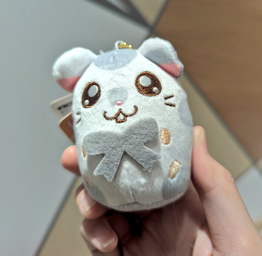 よっしーです！ Yeah I am the joker (/ _ ; )