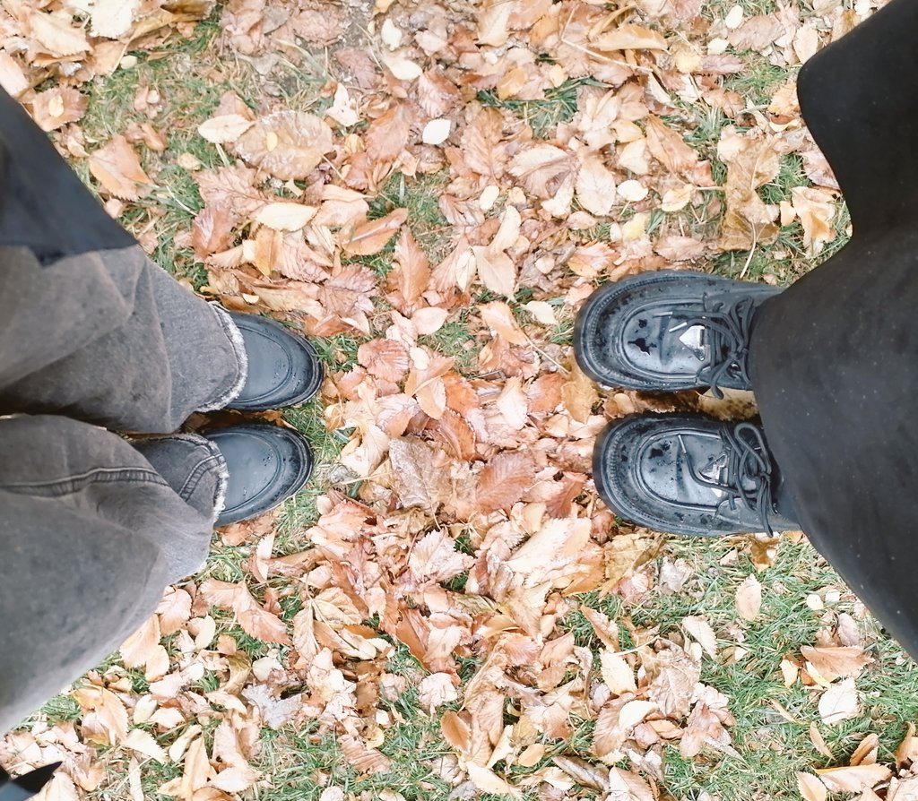 nargsrh's tweet photo. پاییز...🍂
بین تمام مشغله هام بعضی چیزا بودن که پاییز منو ساختن حتی تو همون لحظه های سخت و خسته کننده ام
حتی تو همون موقه که می‌نالیدم از وضعیتم(':
خدایاشکرت!🧡 https://t.co/wv6LKtElW9
