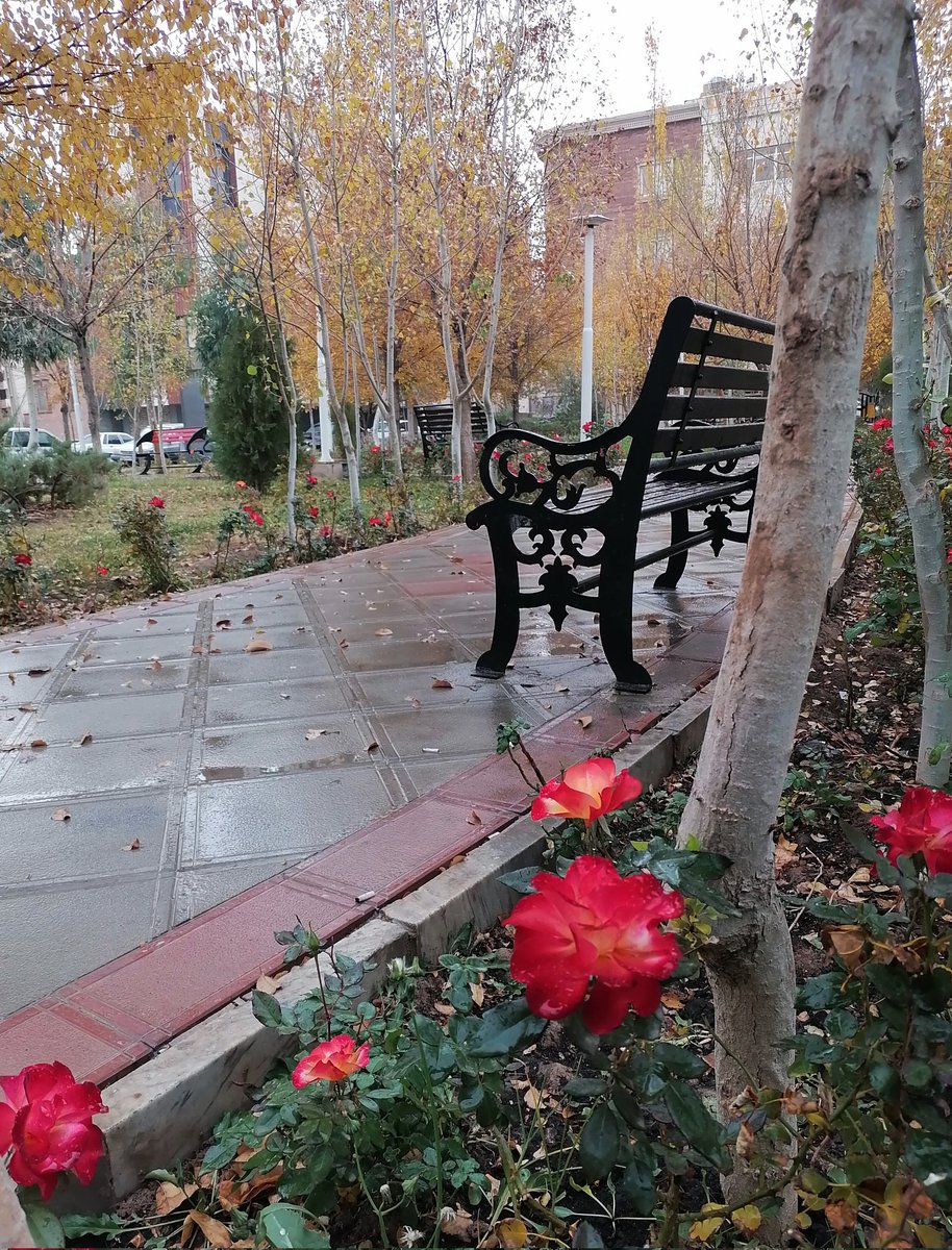 nargsrh's tweet photo. پاییز...🍂
بین تمام مشغله هام بعضی چیزا بودن که پاییز منو ساختن حتی تو همون لحظه های سخت و خسته کننده ام
حتی تو همون موقه که می‌نالیدم از وضعیتم(':
خدایاشکرت!🧡 https://t.co/wv6LKtElW9