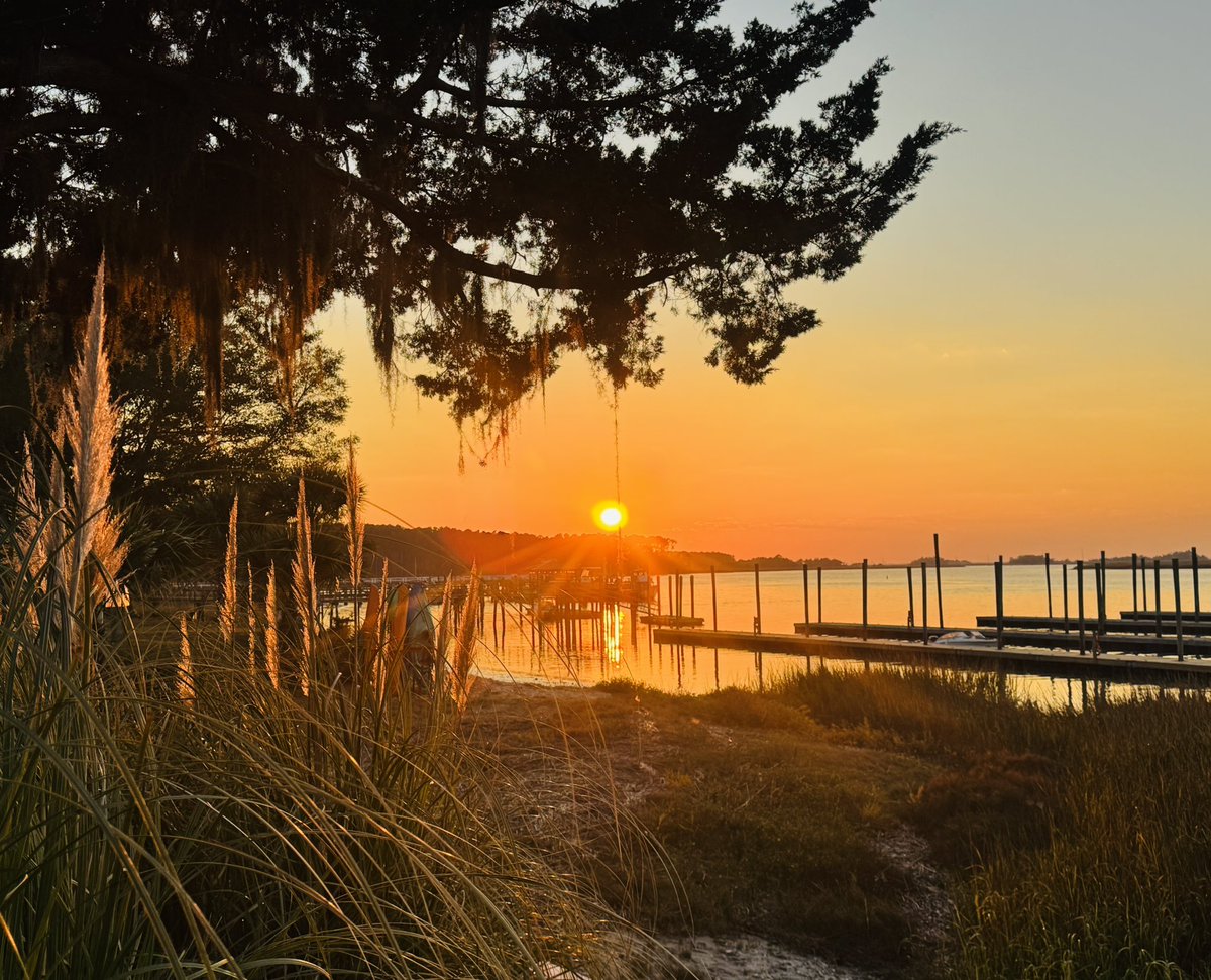 Shadowbanned.sats🌊🏝 tweet media