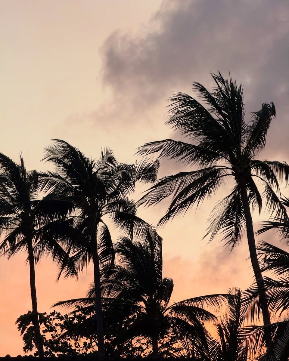 jucnei's tweet photo. The beach and I share the same soul, bound together even when time insists otherwise. I can never drift too far from it, it has become a world of its own for me. https://t.co/qLAsl3FKO8