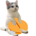 CSVCcoin's tweet photo. catsittingverycomfortablewithfortunecookie https://t.co/v4yrFZEP7t